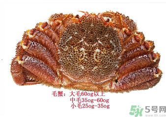 毛蟹蒸多長時間？毛蟹蒸多久會熟？