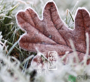 霜降是什么季節(jié)？霜降是秋天還是冬天？