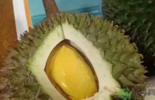 榴蓮吃多了會(huì)怎么樣？榴蓮吃多了好嗎？