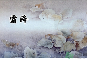霜降為什么要吃柿子？霜降吃柿子有什么好處？