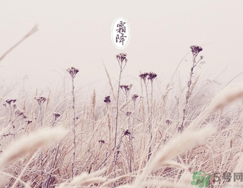 霜降為什么要吃柿子？霜降吃柿子有什么好處？