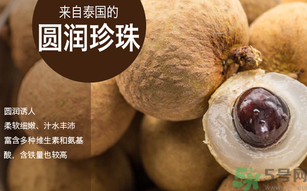 泰國龍眼和普通龍眼什么區(qū)別？泰國龍眼和普通龍眼哪個好？