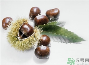 老人能喝板栗酒嗎？板栗怎么泡酒呢？