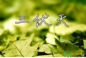 三伏天可以理發(fā)嗎？三伏天為什么不能理發(fā)？
