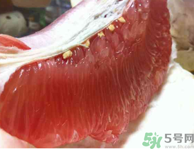 剝開的柚子能放冰箱嗎？柚子肉可以放冰箱嗎？