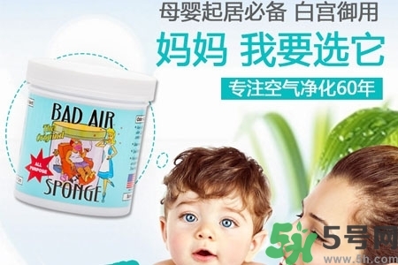 美國bad air sponge空氣凈化劑多少錢？