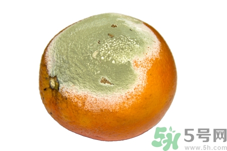 水果發(fā)霉了可以吃嗎？發(fā)霉的水果對人體有什么危害？