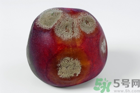 水果發(fā)霉了可以吃嗎？發(fā)霉的水果對人體有什么危害？