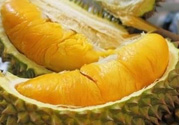 小孩能吃榴蓮嗎？榴蓮小孩能吃嗎？
