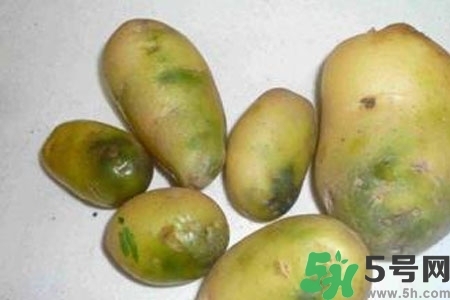 土豆發(fā)綠還能吃嗎？土豆發(fā)綠皮削皮后能吃嗎？