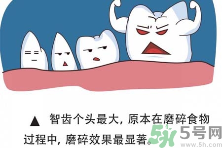 智齒拔完后有個洞怎么辦？拔智齒后有個洞多久能長好？
