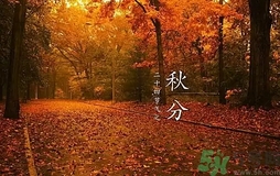 秋分做什么運動好？秋分運動注意事項