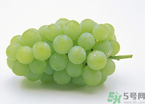 新鮮葡萄能放冰箱嗎？新鮮葡萄的保存方法