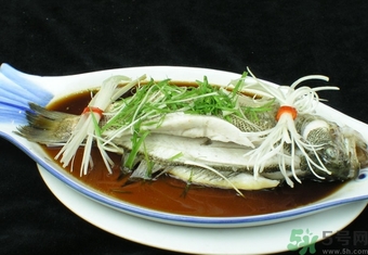 鱸魚是淡水魚還是海水魚？鱸魚是海魚嗎？