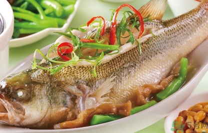 鱸魚和桂魚哪個好吃？鱸魚和桂魚的區(qū)別
