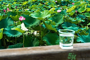 小蘇打能治癌癥嗎？蘇打水可以治癌癥嗎？