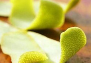柚子皮能去冰箱異味嗎？為什么柚子皮能去除冰箱的異味？