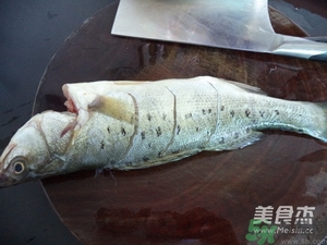 鱸魚蒸多長時間？鱸魚怎么蒸？
