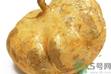 涼暑什么時(shí)候最好吃？涼薯發(fā)芽能吃嗎？