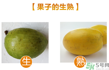 蛋黃果多少錢一斤？蛋黃果什么時候成熟？