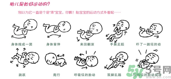 胎動怎么數(shù)最正確？胎動有什么規(guī)律？