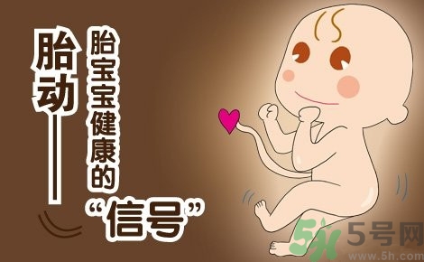胎動怎么數(shù)最正確？胎動有什么規(guī)律？