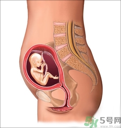胎動(dòng)頻繁正常嗎?胎動(dòng)頻繁是什么原因？