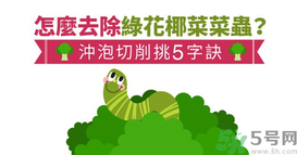 西蘭花里有蟲子怎么辦？花椰菜里面好多蟲怎么辦？