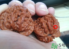 核桃長(zhǎng)蟲了還能吃嗎？核桃長(zhǎng)蟲子怎么處理？