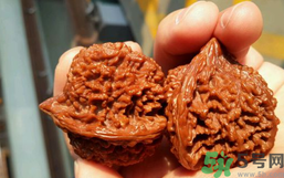 核桃長(zhǎng)蟲了還能吃嗎？核桃長(zhǎng)蟲子怎么處理？
