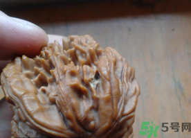 核桃長(zhǎng)蟲了還能吃嗎？核桃長(zhǎng)蟲子怎么處理？