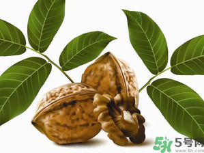 核桃一天吃幾個(gè)合適？核桃一天吃幾個(gè)最好？