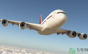 懷孕兩個月可以坐飛機嗎？懷孕兩個月坐飛機注意事項