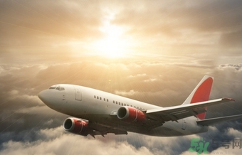 懷孕兩個月可以坐飛機嗎？懷孕兩個月坐飛機注意事項