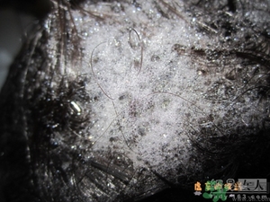 淳萃水舞櫻花洗發(fā)水好用嗎？淳萃水舞櫻花洗發(fā)水多少錢？