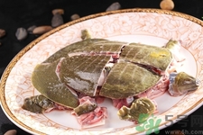 甲魚怎么殺？甲魚怎么處理？