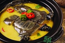 甲魚怎么殺？甲魚怎么處理？