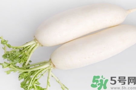怎么挑白蘿卜好不好？挑選白蘿卜的小竅門
