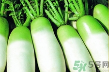 為什么冬吃蘿卜夏吃姜？冬天吃白蘿卜有什么好處？