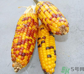 彩色玉米是轉(zhuǎn)基因嗎？彩色玉米能吃嗎？