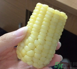 玉米沒(méi)煮熟能吃嗎？沒(méi)煮熟的玉米能吃嗎？