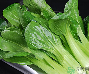 青菜可以放冰箱嗎？青菜能放冰箱保鮮嗎？
