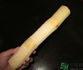 甘蔗可以放冰箱嗎？甘蔗放冰箱能保存多久？