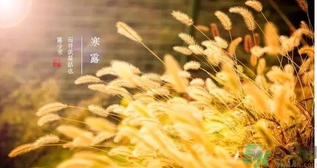 寒露吃什么好？寒露食療