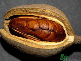 向天果多少錢一斤？向天果價(jià)格