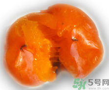 新鮮柿子皮可以吃嗎？吃了柿子皮怎么辦？