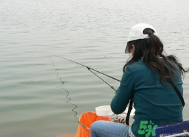 秋天釣鯉魚用什么味型？秋季釣鯉魚餌料味型