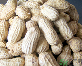 新鮮花生可以放冷凍嗎？新鮮花生可以放冰箱嗎？