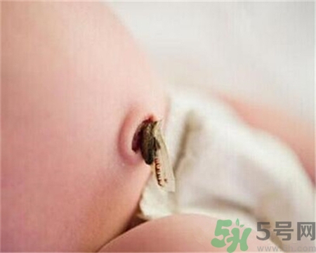 新生兒肚臍怎么護理？新生兒肚臍什么時候掉？