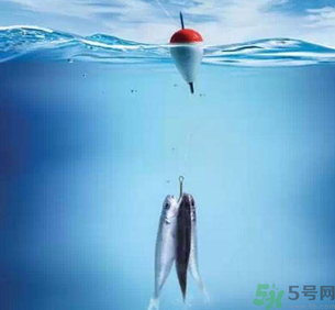 秋天釣魚深水還是淺水？秋天釣魚釣深水還是淺水？